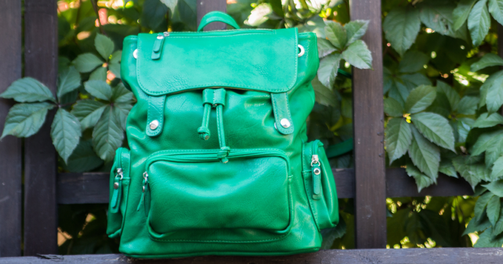 Imagem Representado Mochilas Femininas Elegantes na Cor Verde